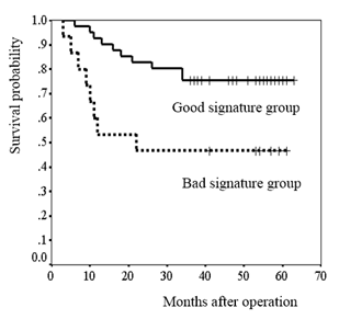 microarray_prediction